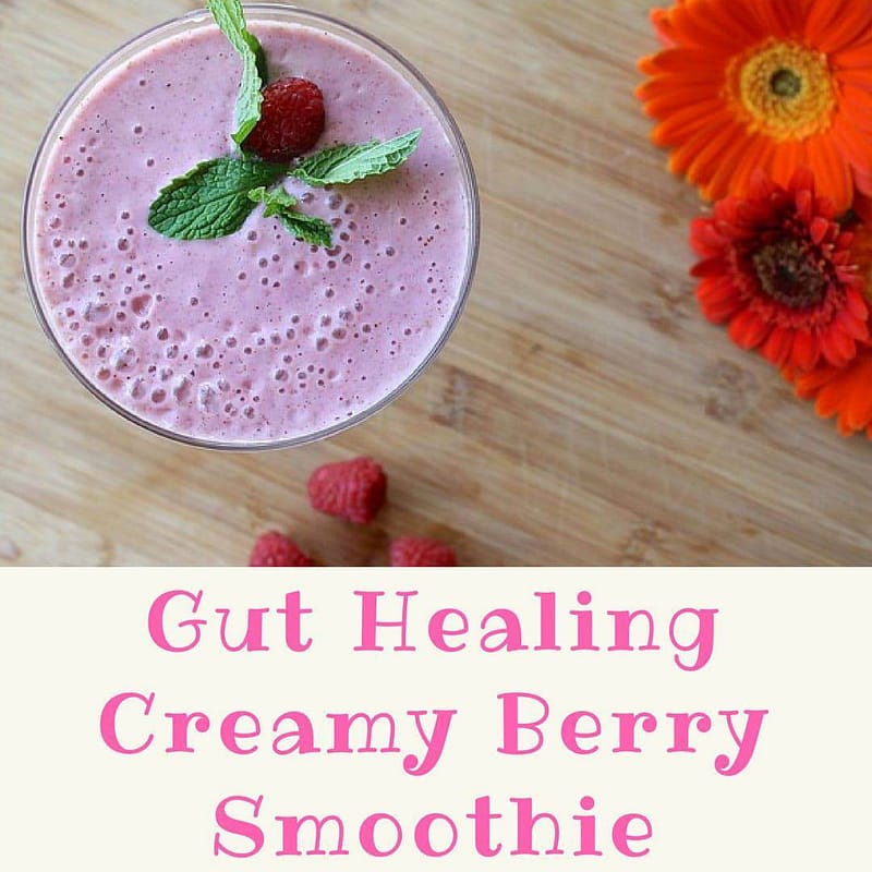 Gut-Healing Creamy Berry Smoothie